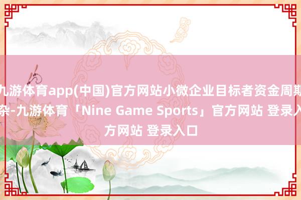 九游体育app(中国)官方网站小微企业目标者资金周期复杂-九游体育「Nine Game Sports」官方网站 登录入口